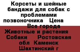 Корсеты и шейные бандажи для собак с проблемами позвоночника › Цена ­ 2 500 - Все города Животные и растения » Собаки   . Ростовская обл.,Каменск-Шахтинский г.